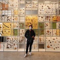 Sebastian Barrera