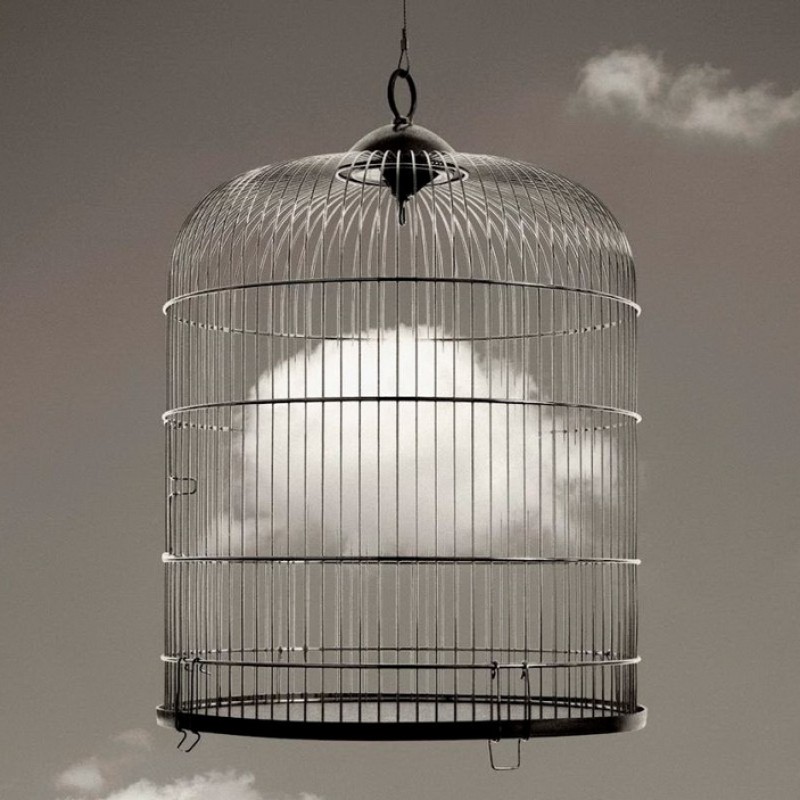 Chema Madoz: La imagen y el objeto en la fotografía